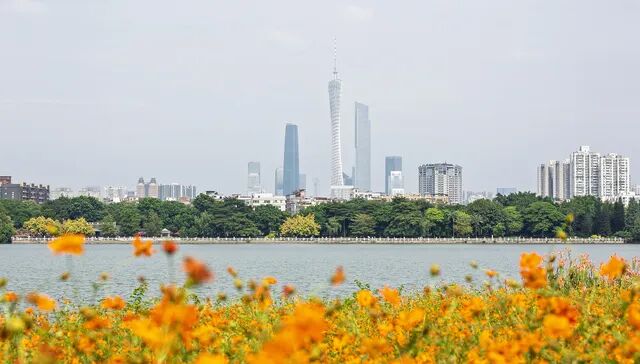 “一人公司”落地广州：从场景验证到种子轮融资